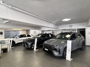 Brender showroom